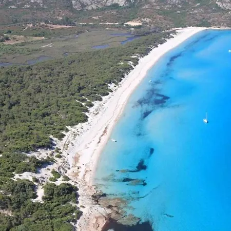 D'une A Florent Avec Terrasse Amenagee A 50 M De La Plage Apartmán *