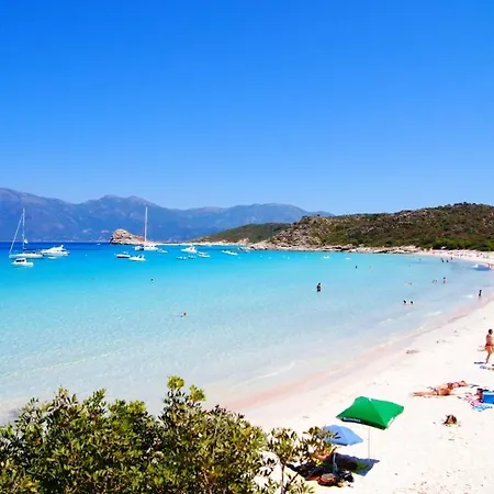 D'une A Florent Avec Terrasse Amenagee A 50 M De La Plage Apartment